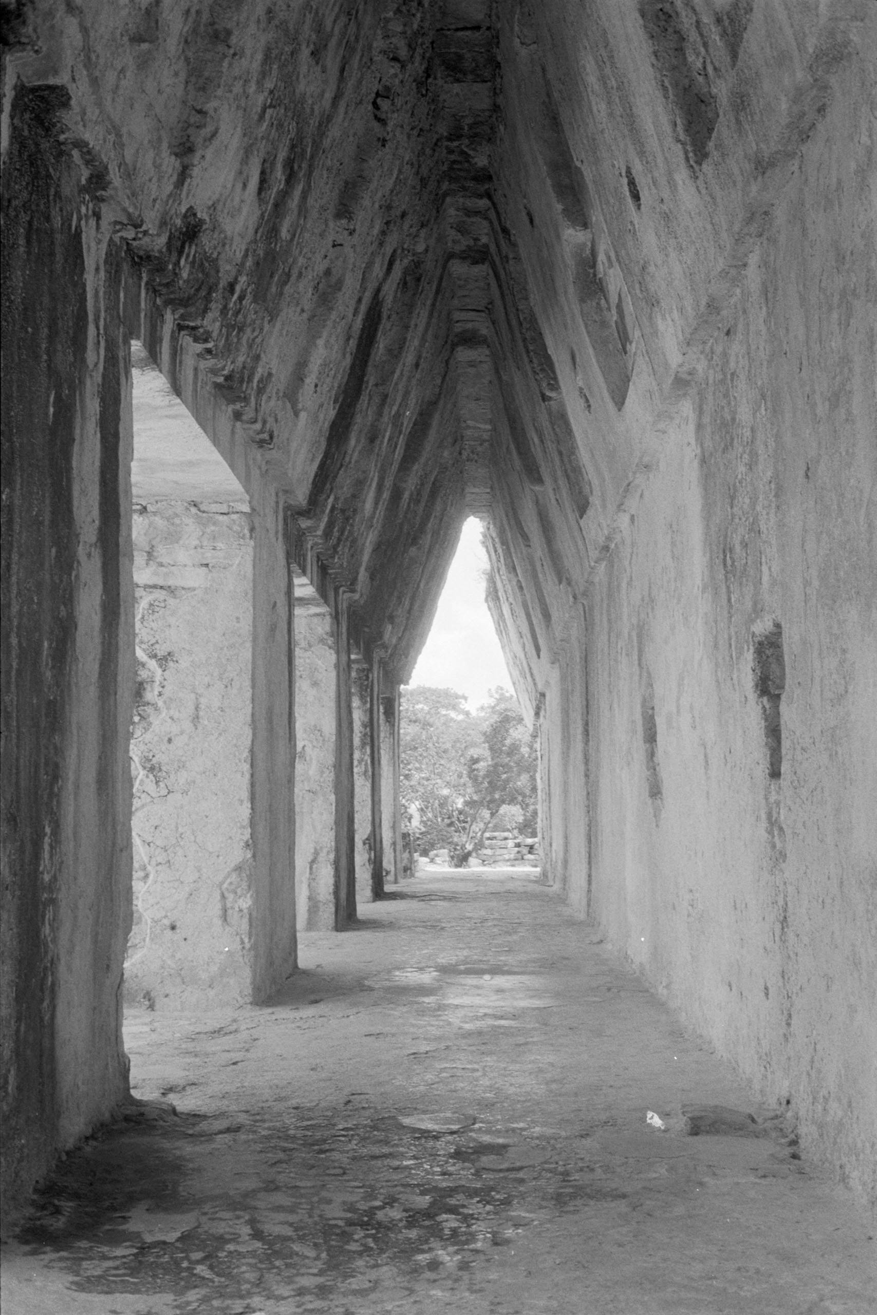 AHP FilmScan 240807 0659